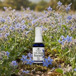 Huile de Bourrache Bio 50 ml